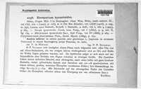Cryptocoryneum hysterioides image